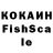 Псилоцибиновые грибы GOLDEN TEACHER Kandra