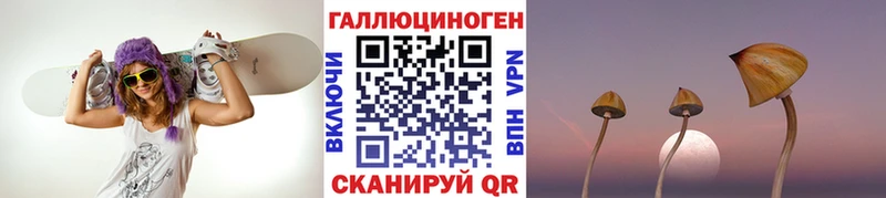 kraken ссылки  Чкаловск  Псилоцибиновые грибы Psilocybine cubensis 