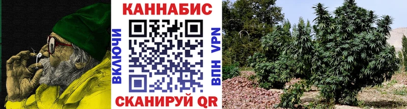 цены наркотик  Чкаловск  Бошки Шишки SATIVA & INDICA 